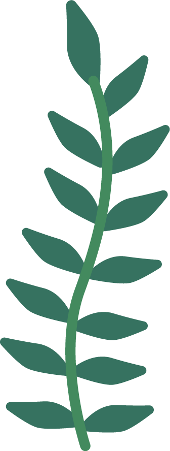 Illustration d'une plante